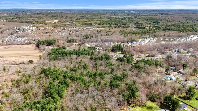 an aerial view of forest