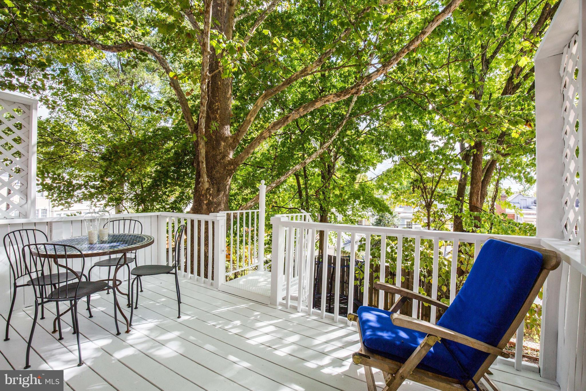 3816 Calvert Street Northwest Washington, DC 20007 - Photo 27 of 30 Sun-lite private deck