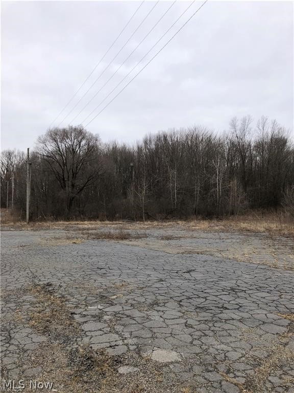 Youngstown Road Warren, OH 44484 - Photo 2 of 4 View of road