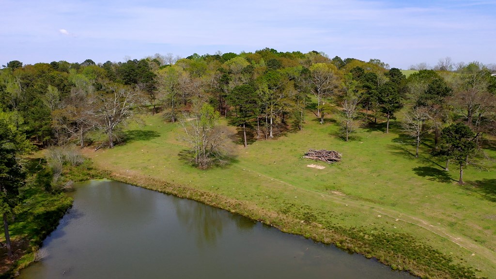 369 Bud Gary Road Clayton, AL 36016 - Photo 27 of 42