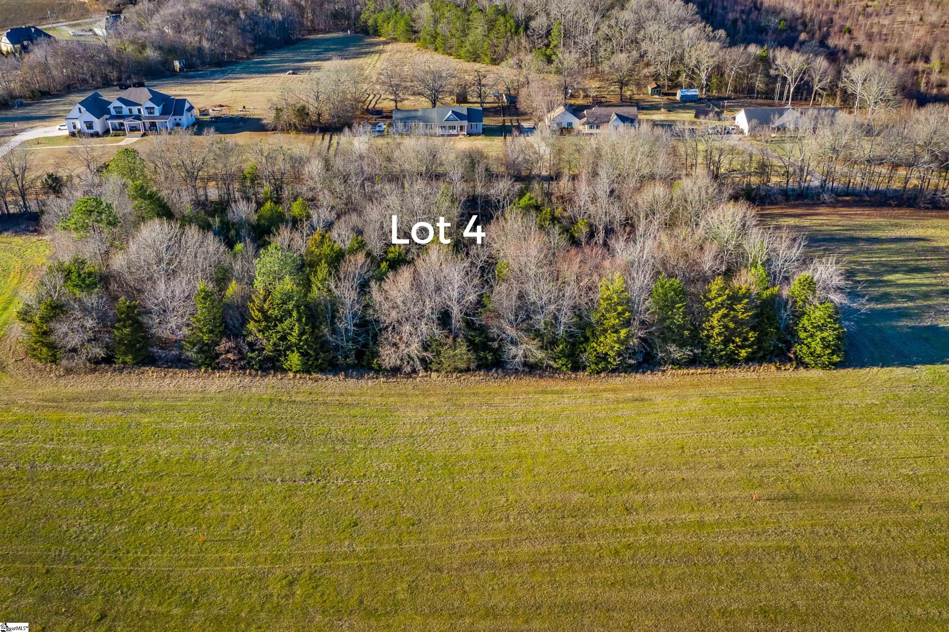 0 Jolly Wingo Road, Unit LOT 4 Pendleton, SC 29670 - Photo 2 of 8