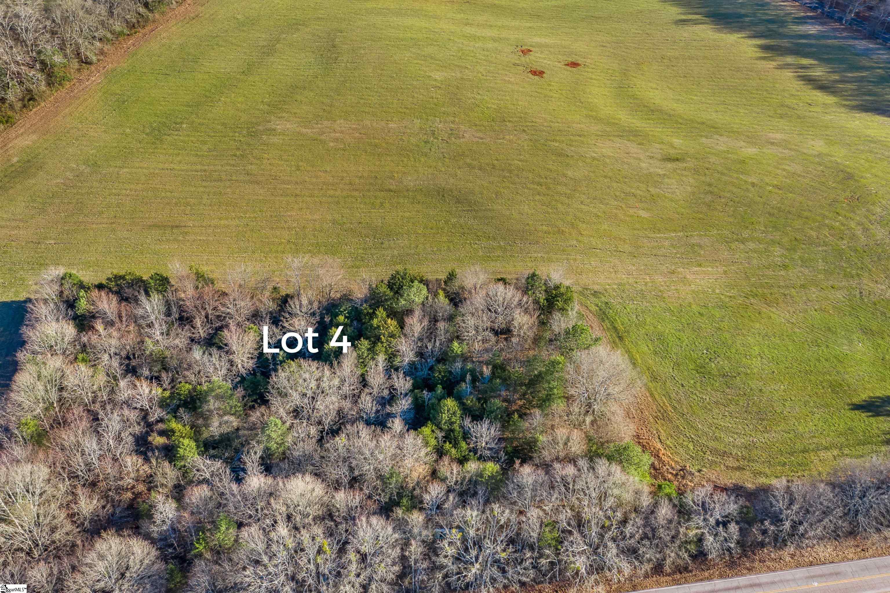 0 Jolly Wingo Road, Unit LOT 4 Pendleton, SC 29670 - Photo 6 of 8