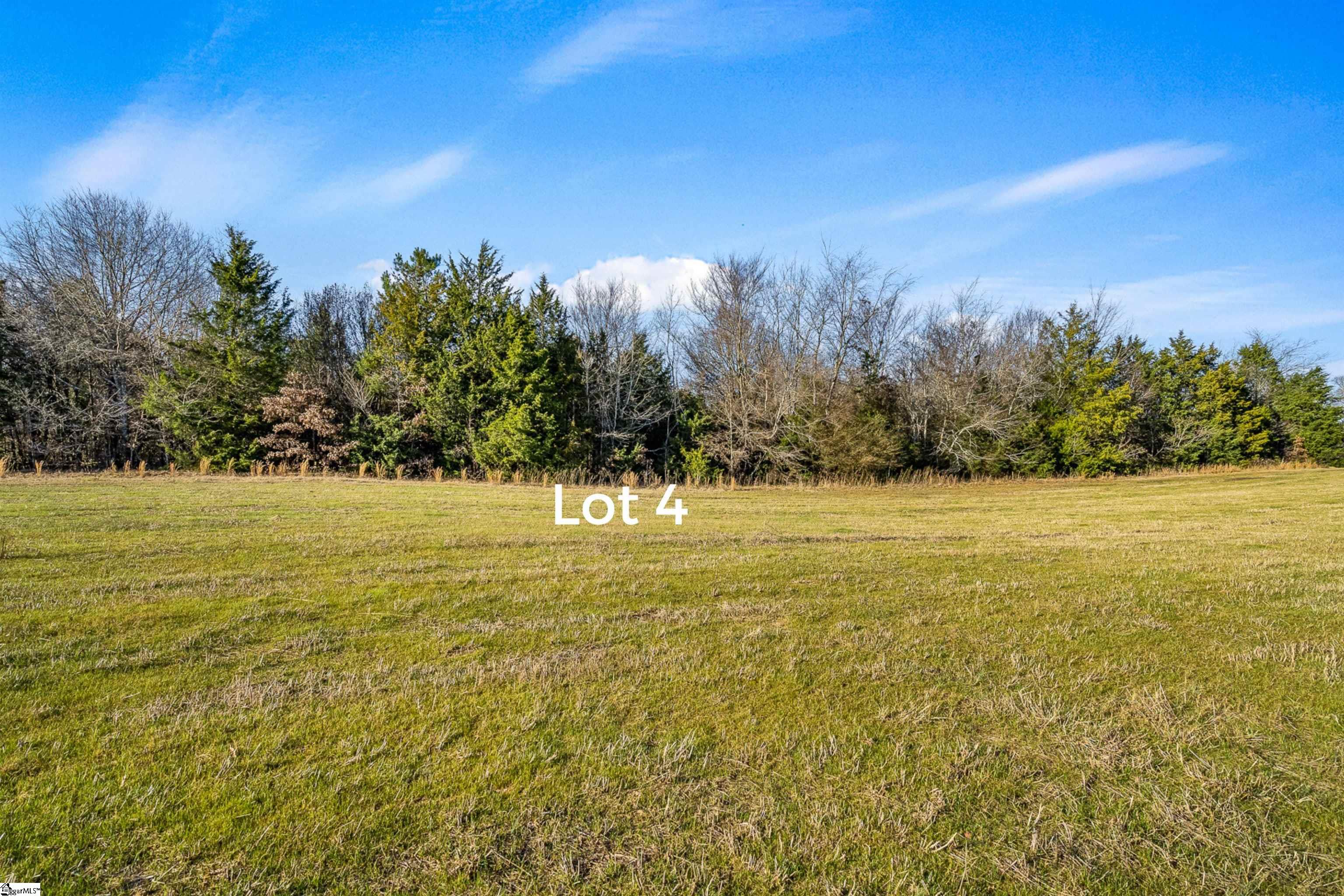 0 Jolly Wingo Road, Unit LOT 4 Pendleton, SC 29670 - Photo 8 of 8