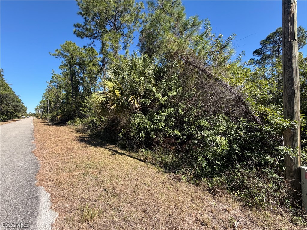 2104 Louis Avenue Alva, FL 33920 - Photo 2 of 4 a view of a covered with snow on the side of the road