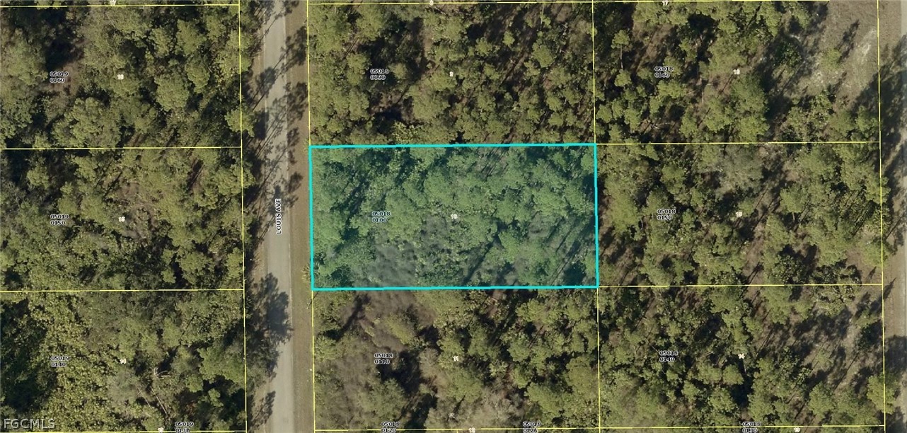 2104 Louis Avenue Alva, FL 33920 - Photo 4 of 4 a view of a small yard