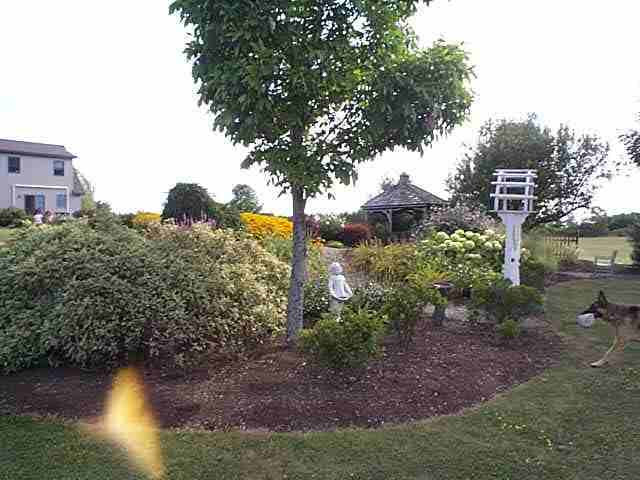 557 Conover Road Esperance, NY 12066 - Photo 8 of 12 Photo 8