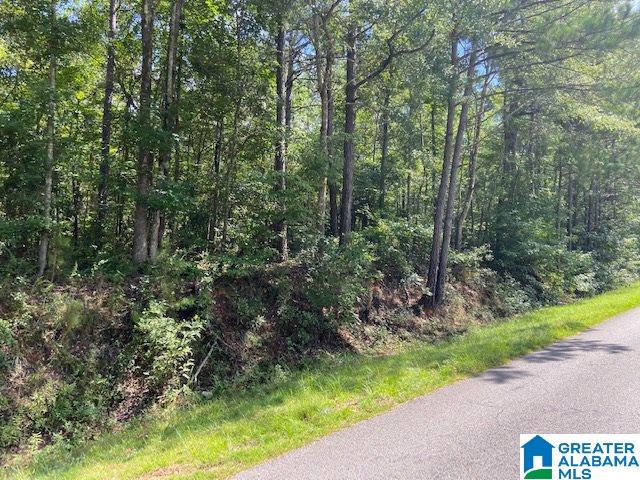 0 County Road 89, Unit 1 Clanton, AL 35046 - Photo 15 of 17