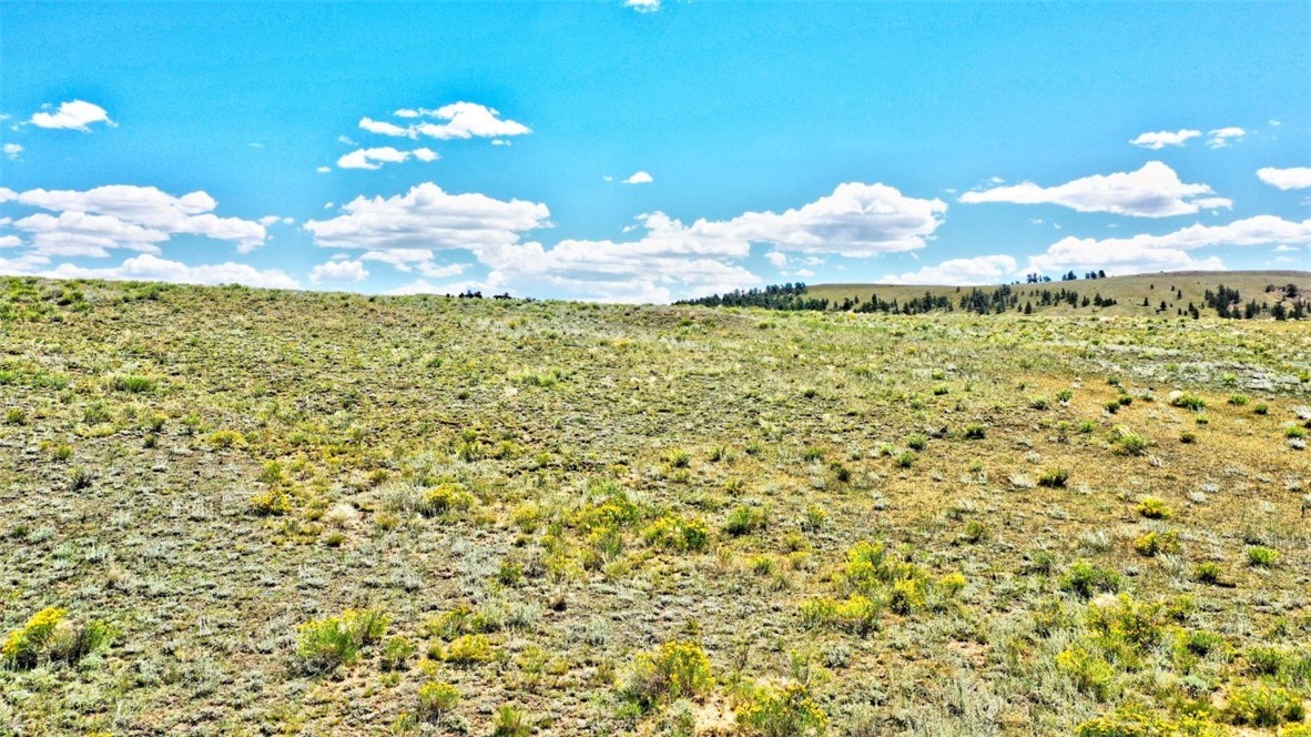 427 East Ranger Hill Road Hartsel, CO 80449 - Photo 10 of 15 Gallery Image 10