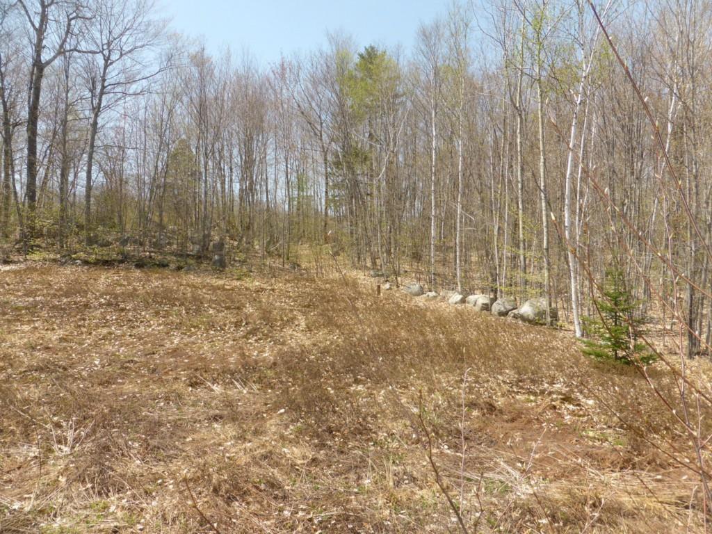 0 Eagle Crestview Lane Sebago, ME 04029 - Photo 9 of 11 Photo