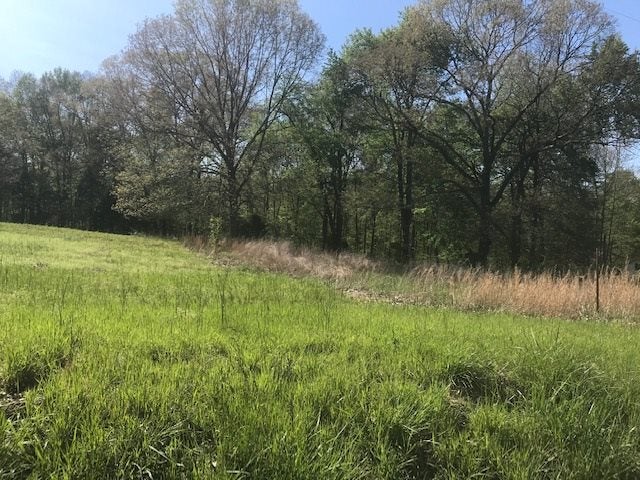 545 Lock 5 Road Brownsville, KY 42210 - Photo 1 of 1 Gallery Image 1