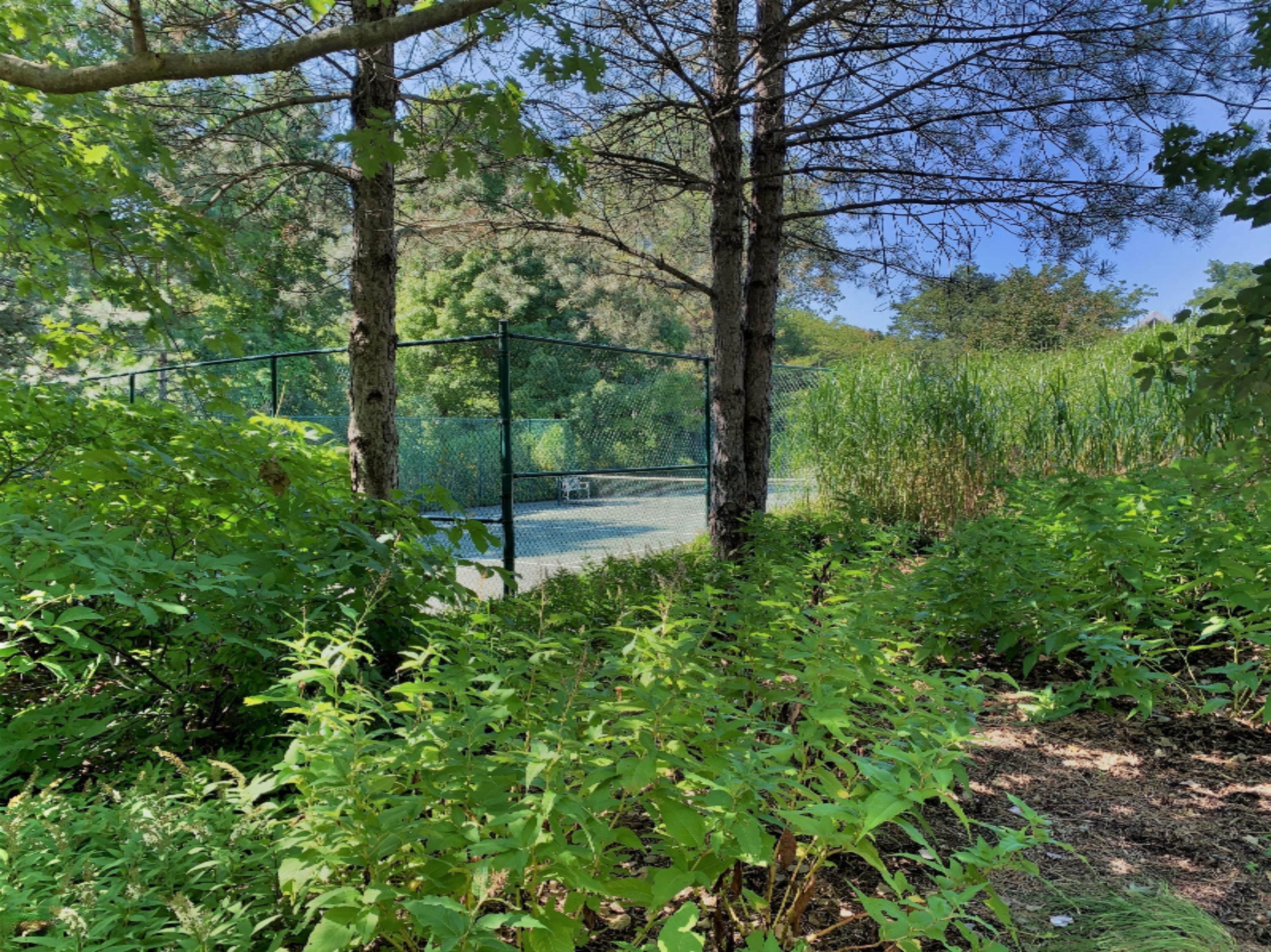 7301 Greenbush Road Harbert, MI 49115 - Photo 24 of 79 IMG_0868 (002)