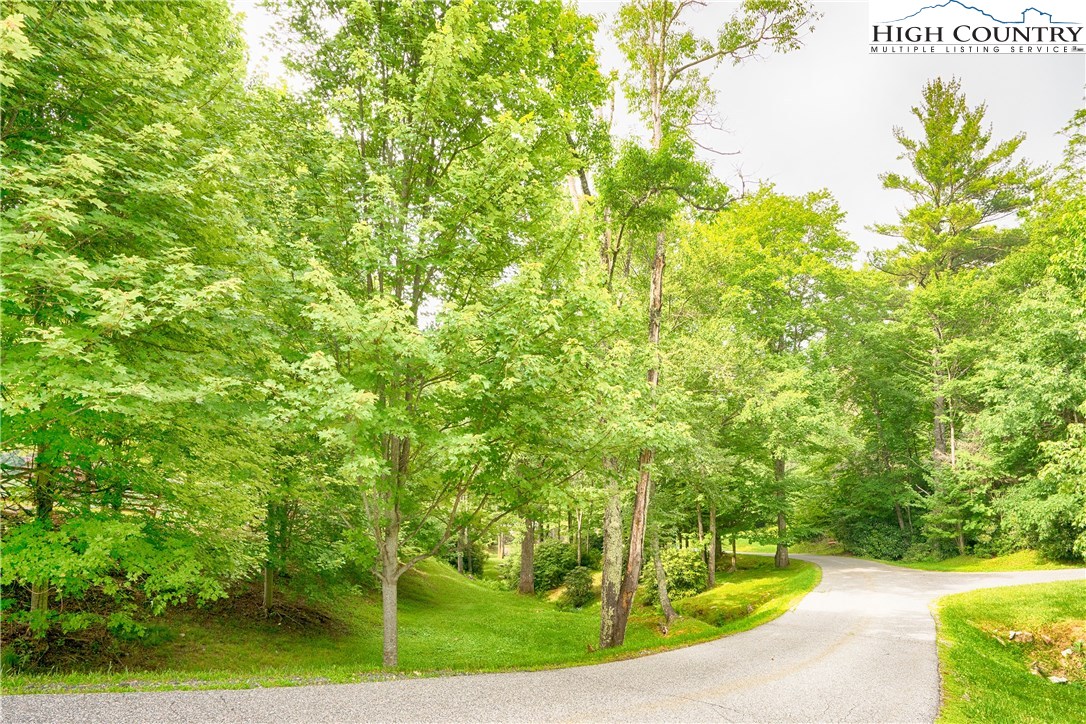 Lot 17 Cielo Road Blowing Rock, NC 28605 - Photo 13 of 17
