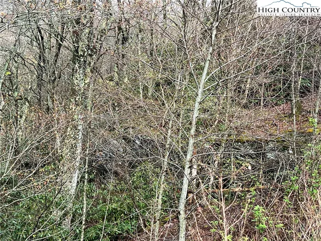 $125,000 | Lot 17 Cielo Road, Blowing Rock, NC 28605