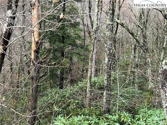 $125,000 | Lot 17 Cielo Road, Blowing Rock, NC 28605