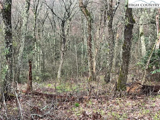 $125,000 | Lot 17 Cielo Road, Blowing Rock, NC 28605