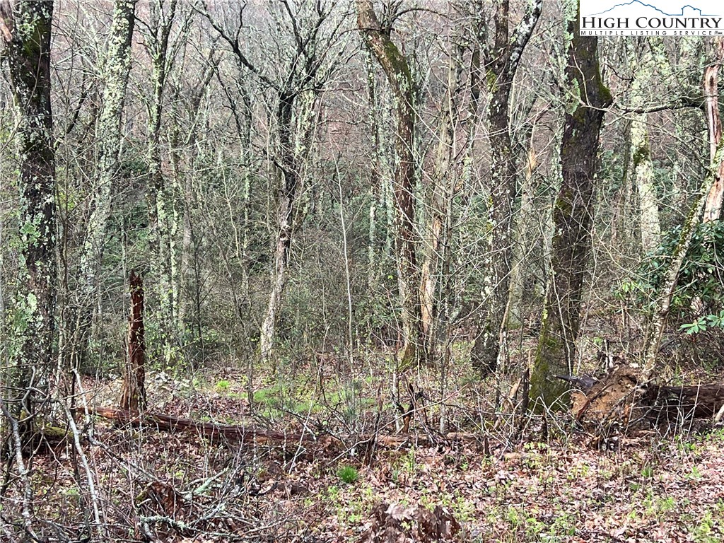Lot 17 Cielo Road Blowing Rock, NC 28605 - Photo 4 of 17