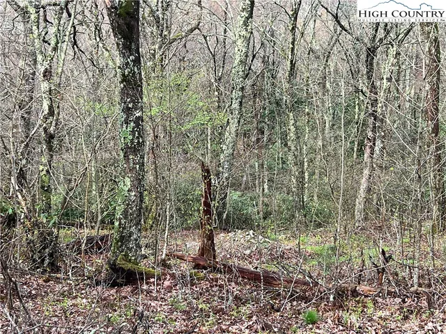 $125,000 | Lot 17 Cielo Road, Blowing Rock, NC 28605