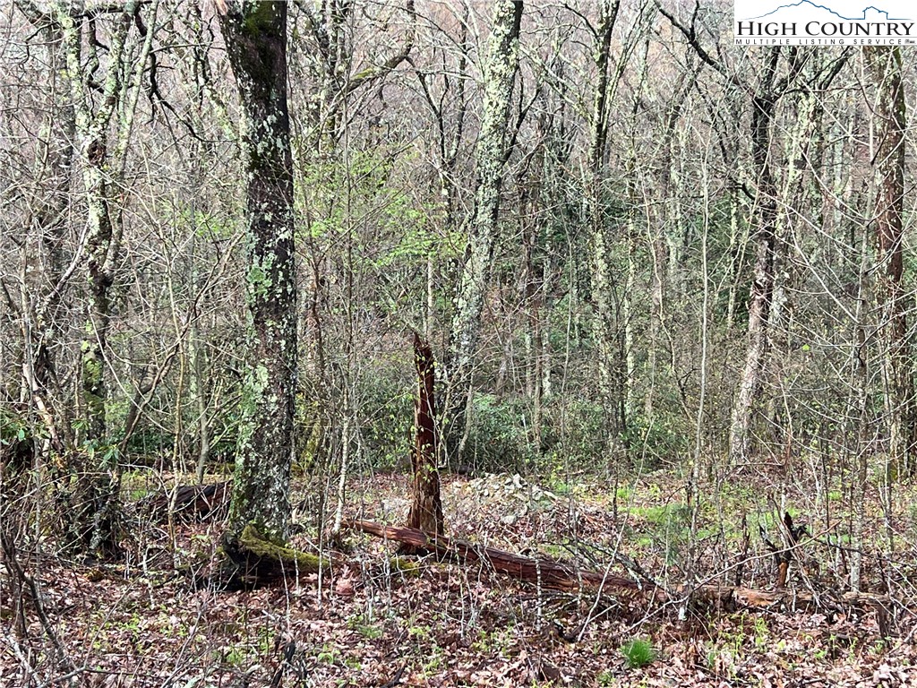Lot 17 Cielo Road Blowing Rock, NC 28605 - Photo 5 of 17