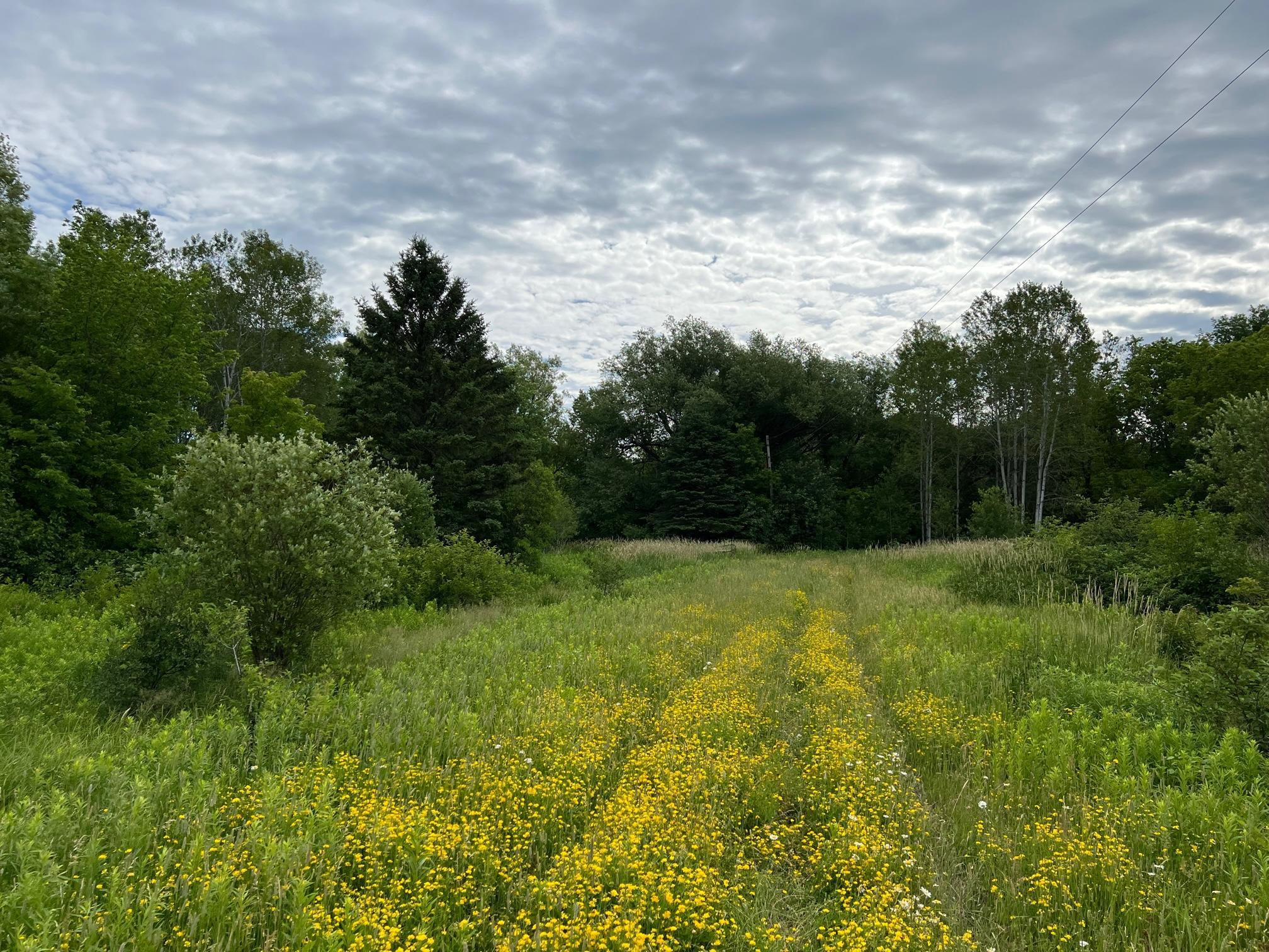86640 North South Pratt Road Bayfield, WI 54814 - Photo 11 of 54