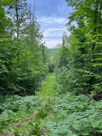 $699,900 | 86640 North South Pratt Road, Bayfield, WI 54814