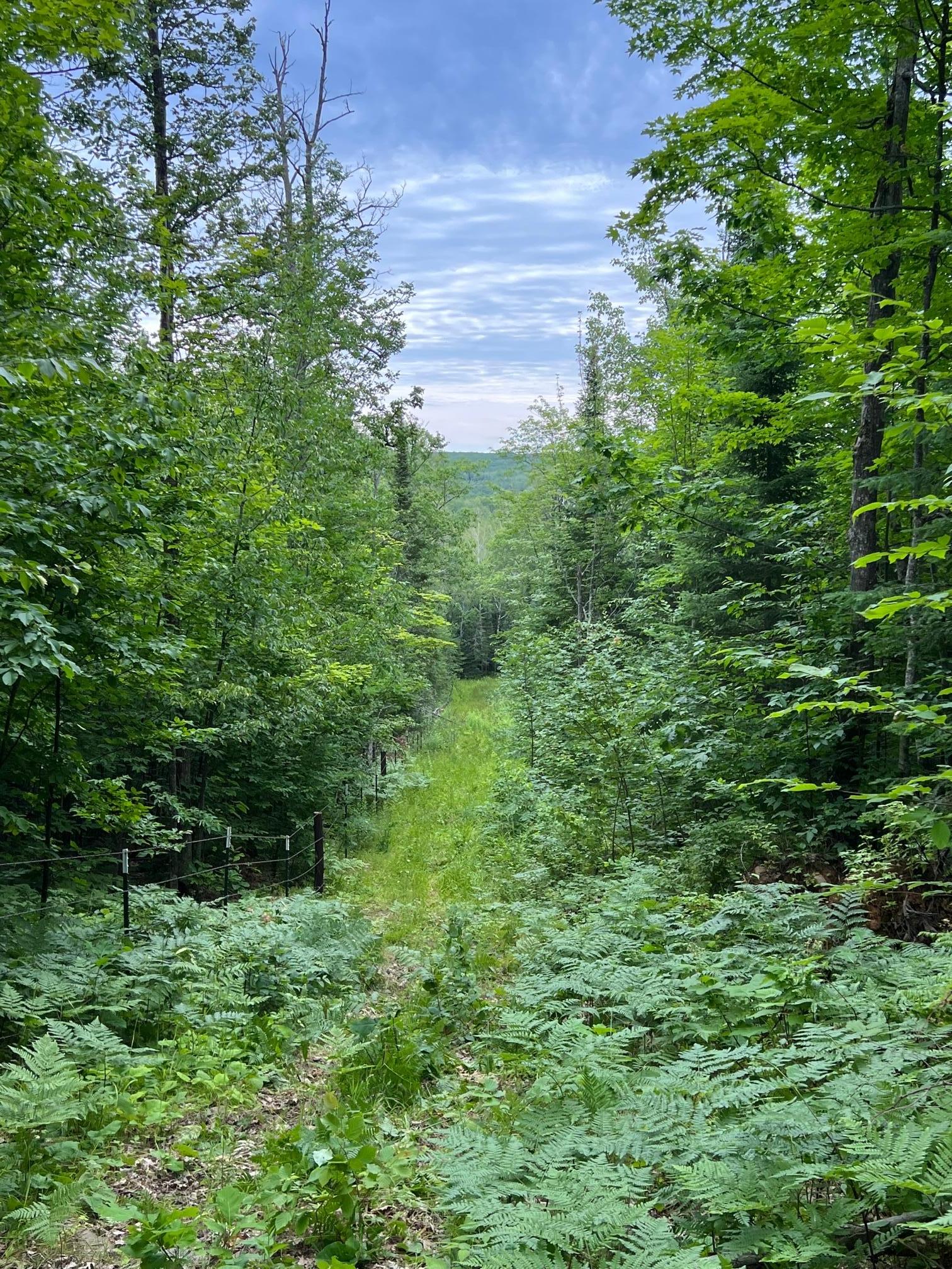 86640 North South Pratt Road Bayfield, WI 54814 - Photo 18 of 54