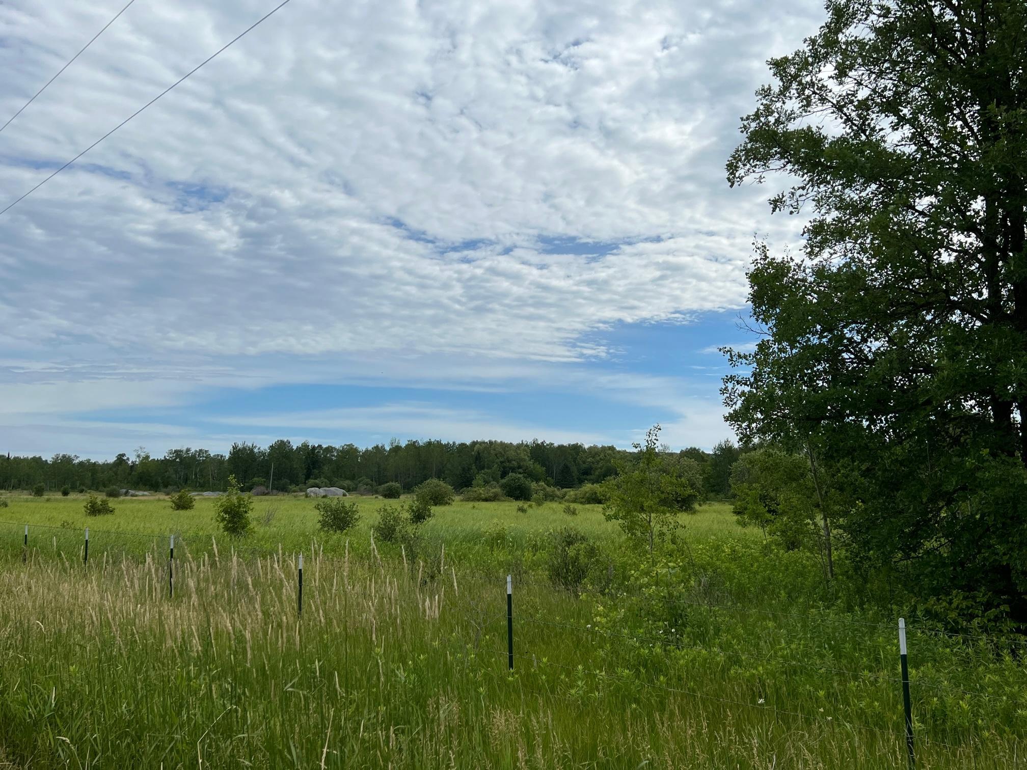 86640 North South Pratt Road Bayfield, WI 54814 - Photo 20 of 54