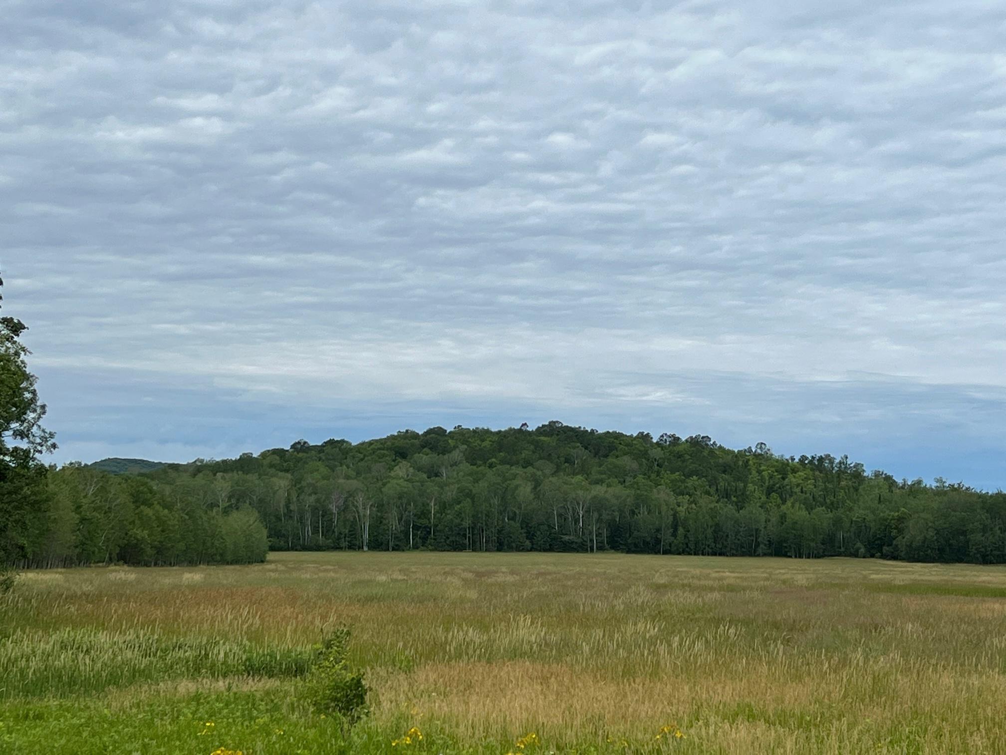 86640 North South Pratt Road Bayfield, WI 54814 - Photo 21 of 54