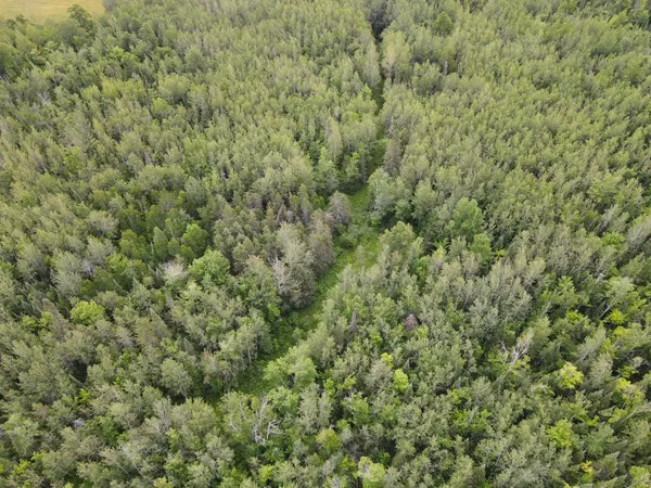 $699,900 | 86640 North South Pratt Road, Bayfield, WI 54814
