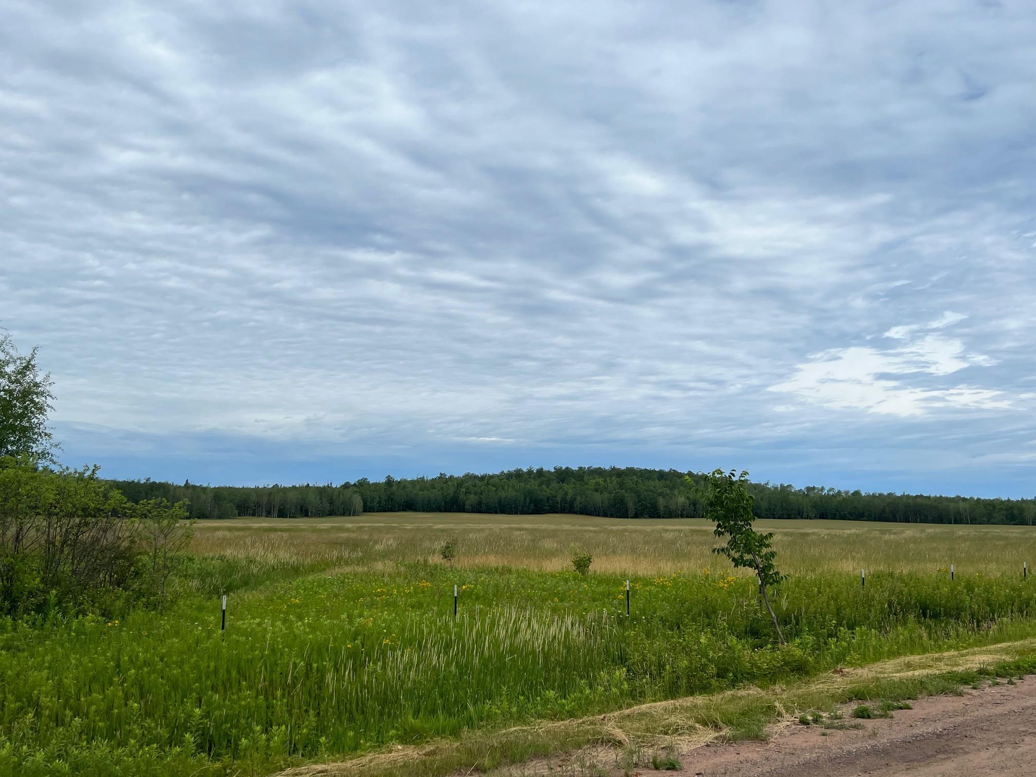86640 North South Pratt Road Bayfield, WI 54814 - Photo 29 of 54