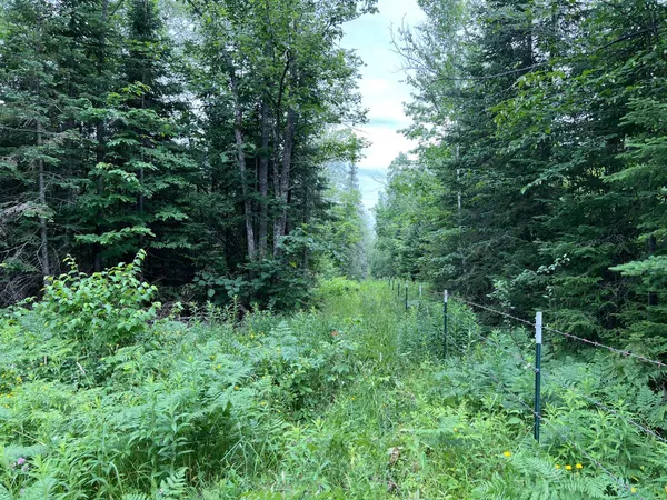 $699,900 | 86640 North South Pratt Road, Bayfield, WI 54814