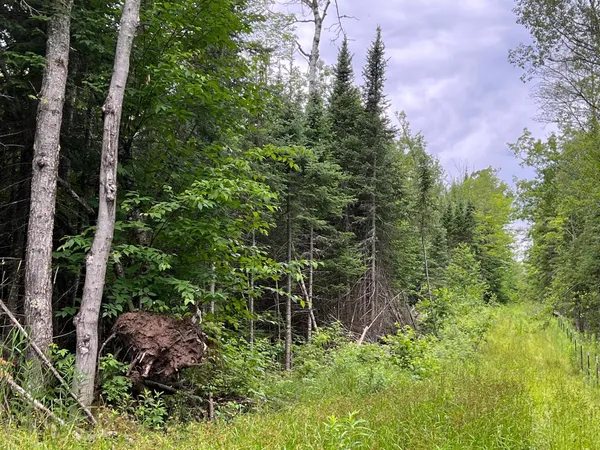 $699,900 | 86640 North South Pratt Road, Bayfield, WI 54814