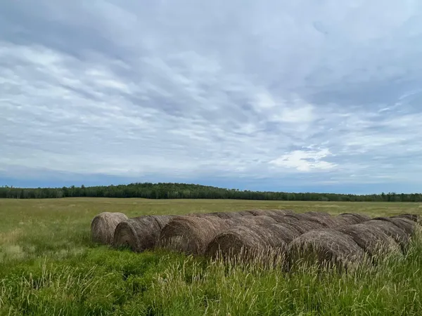 $699,900 | 86640 North South Pratt Road, Bayfield, WI 54814