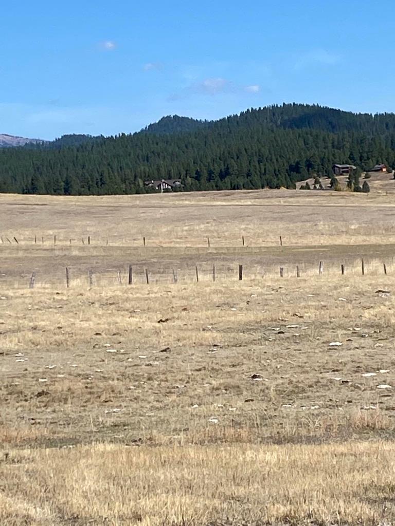 Lot 11 Gold Fork Road, Unit 11 Donnelly, ID 83615 - Photo 15 of 17
