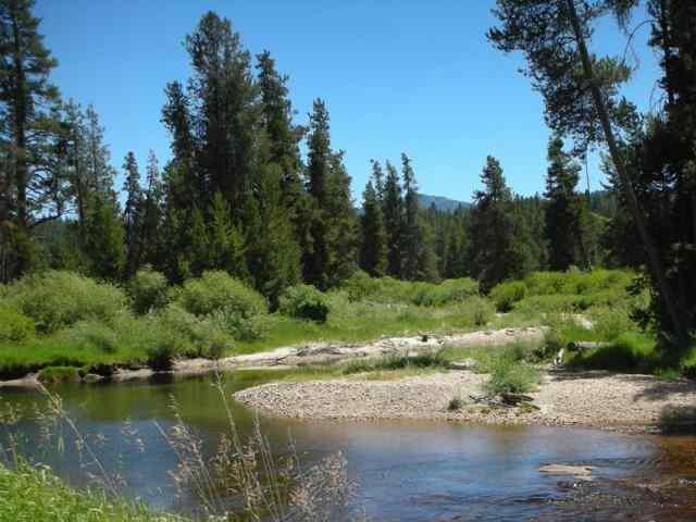 Lot 11 Gold Fork Road, Unit 11 Donnelly, ID 83615 - Photo 2 of 17