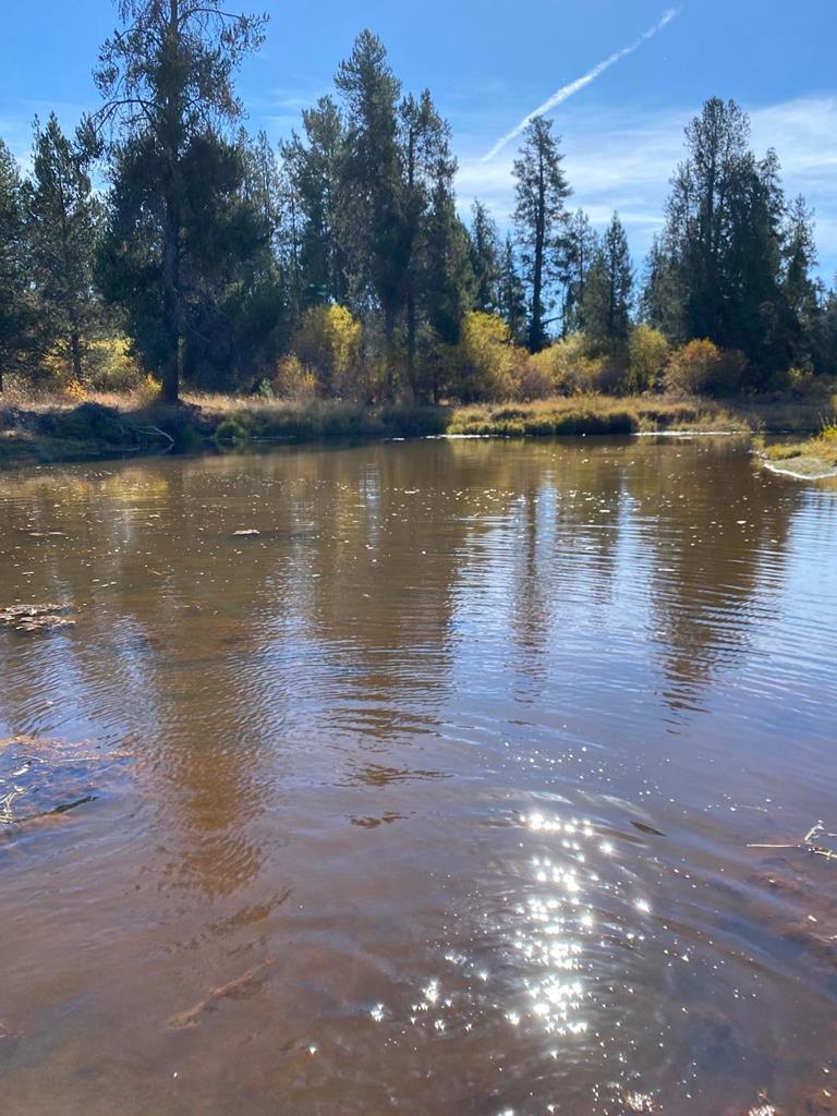 Lot 11 Gold Fork Road, Unit 11 Donnelly, ID 83615 - Photo 5 of 17