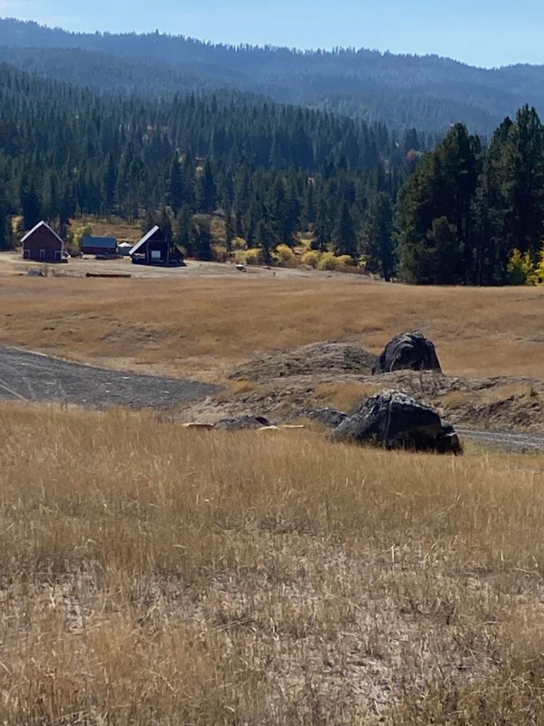 Lot 11 Gold Fork Road, Unit 11 Donnelly, ID 83615 - Photo 6 of 17