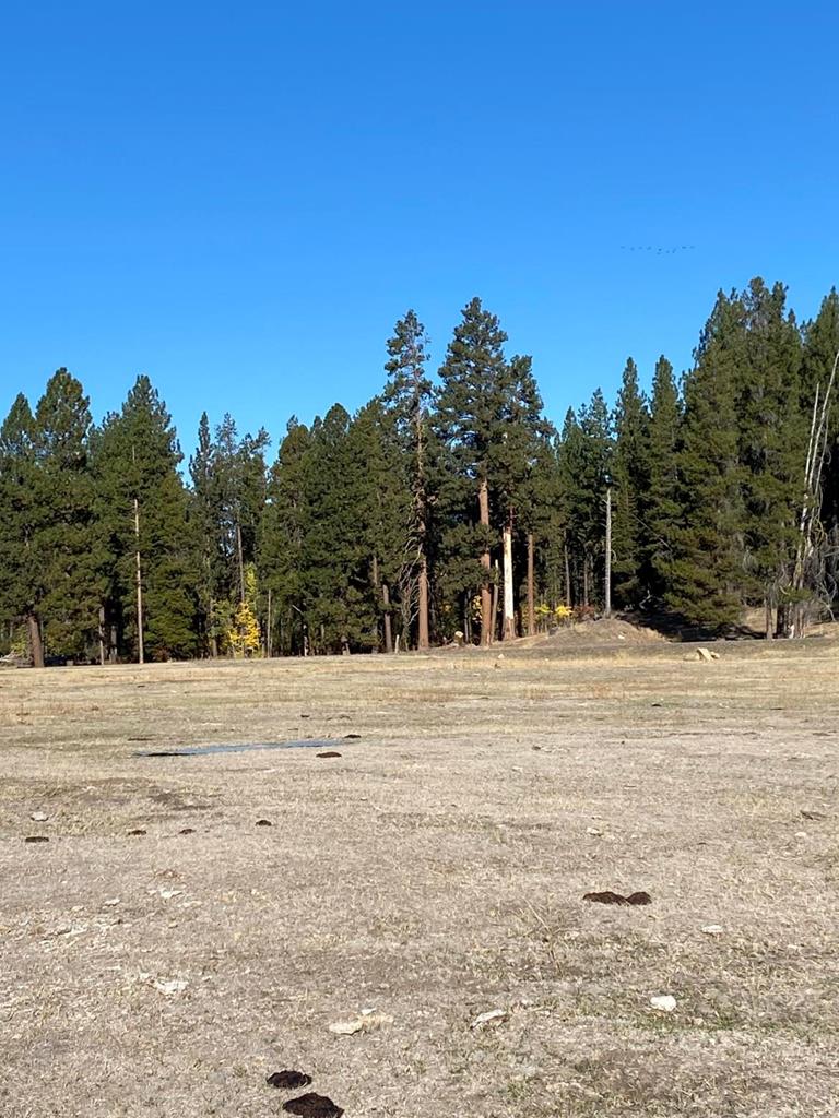Lot 11 Gold Fork Road, Unit 11 Donnelly, ID 83615 - Photo 8 of 17