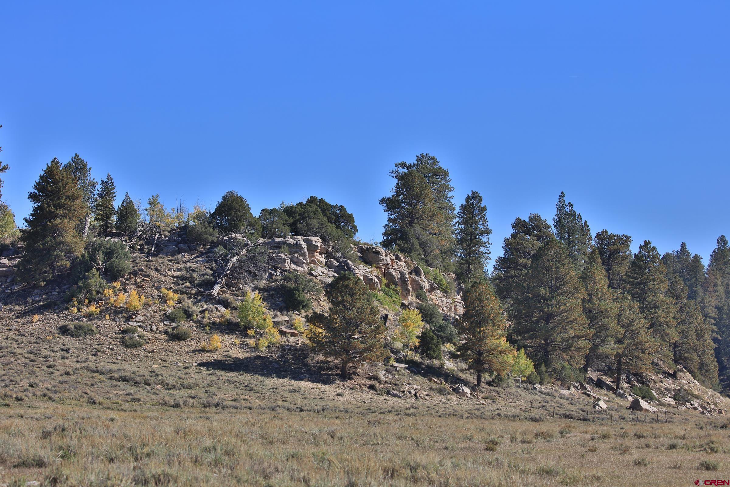 Tbd Tbd Divide Whitewater, CO 81527 - Photo 7 of 8 a view of a dry yard