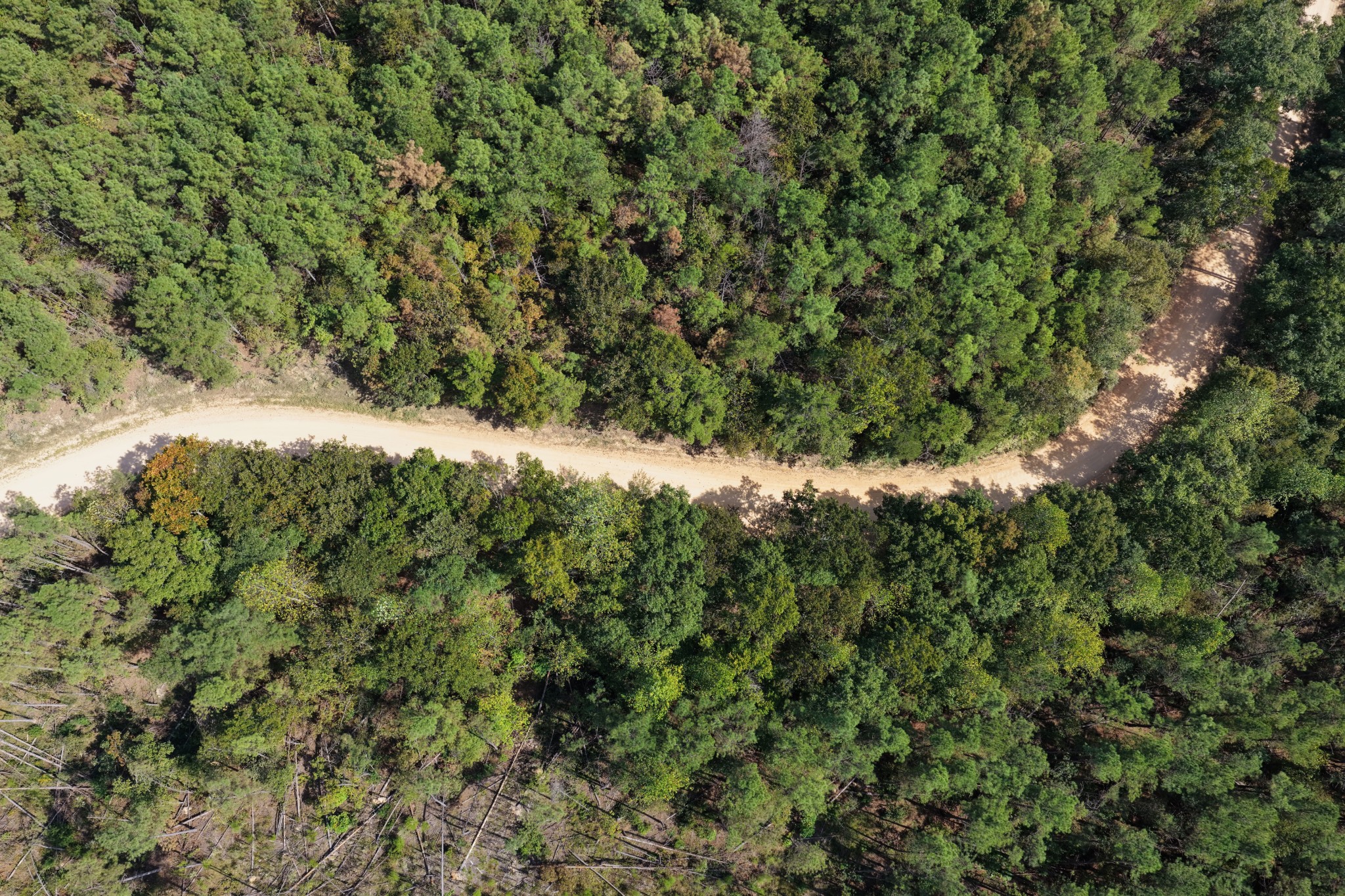 0 Coy Hill Road Savannah, TN 38372 - Photo 7 of 31 Gallery Image 7