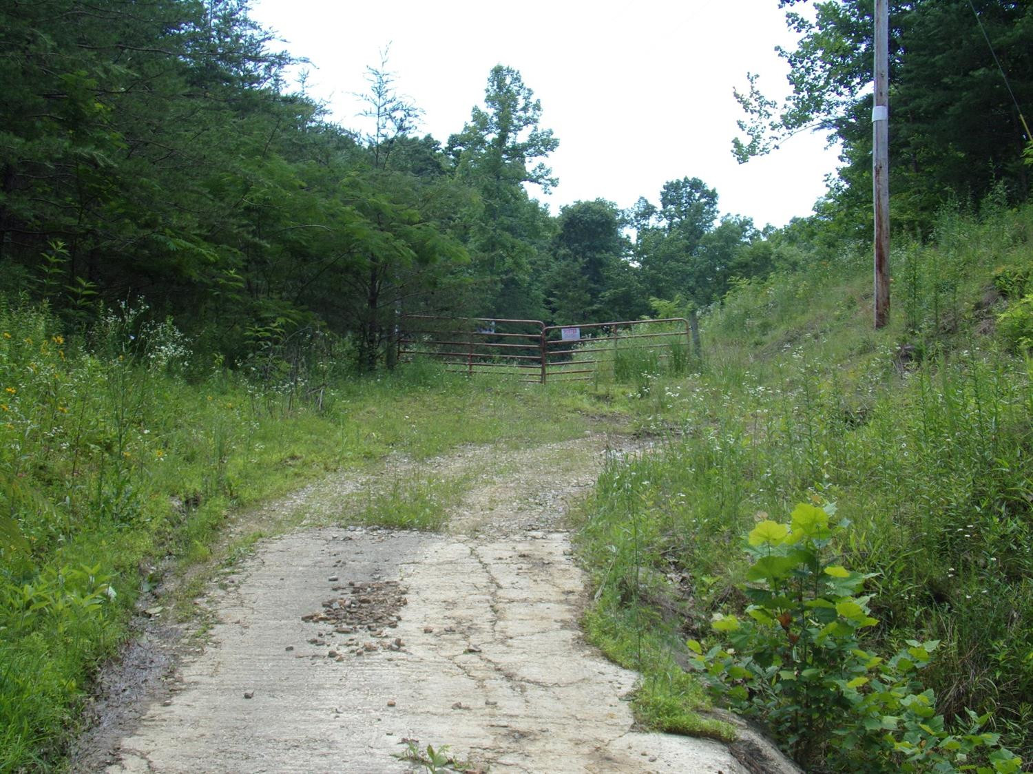 3333 Pinetable Road Means, KY 40346 - Photo 2 of 38 Photo 2