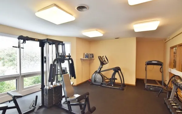 a view of a park with large trees