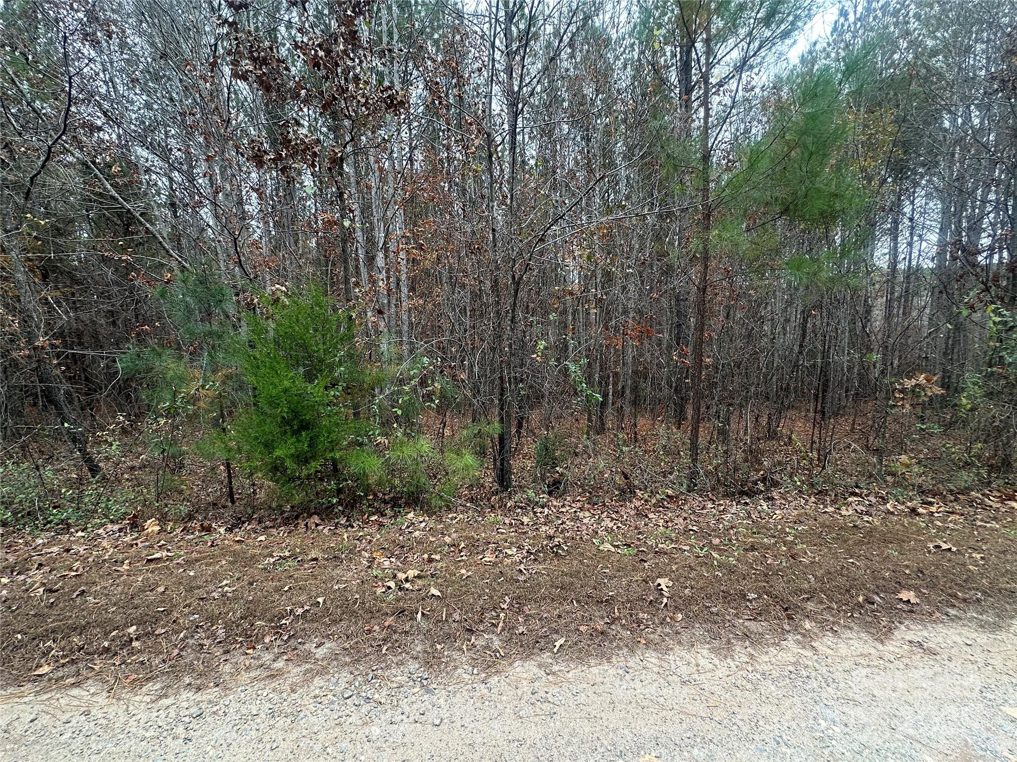 0 Freeman Road Rutherfordton, NC 28139 - Photo 5 of 10 a big yard with lots of green space and fog