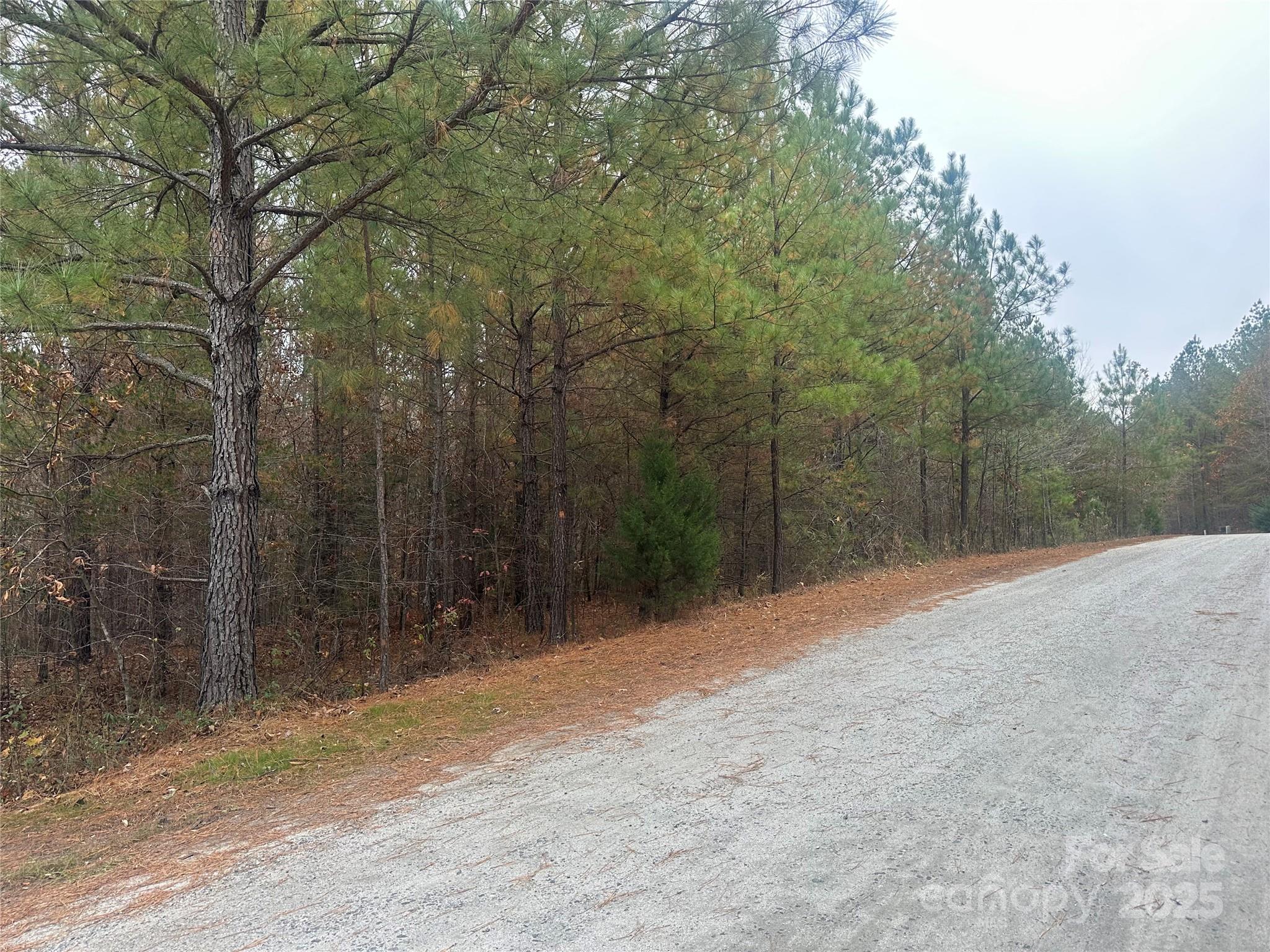 0 Freeman Road Rutherfordton, NC 28139 - Photo 6 of 10 a view of a backyard of the house