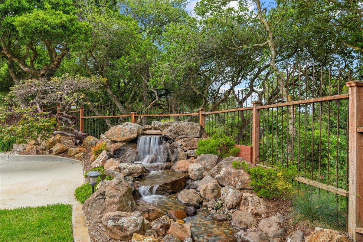 6980 Timeview Way Prunedale, CA 93907 - Photo 26 of 47 a view of a yard with plants and large trees