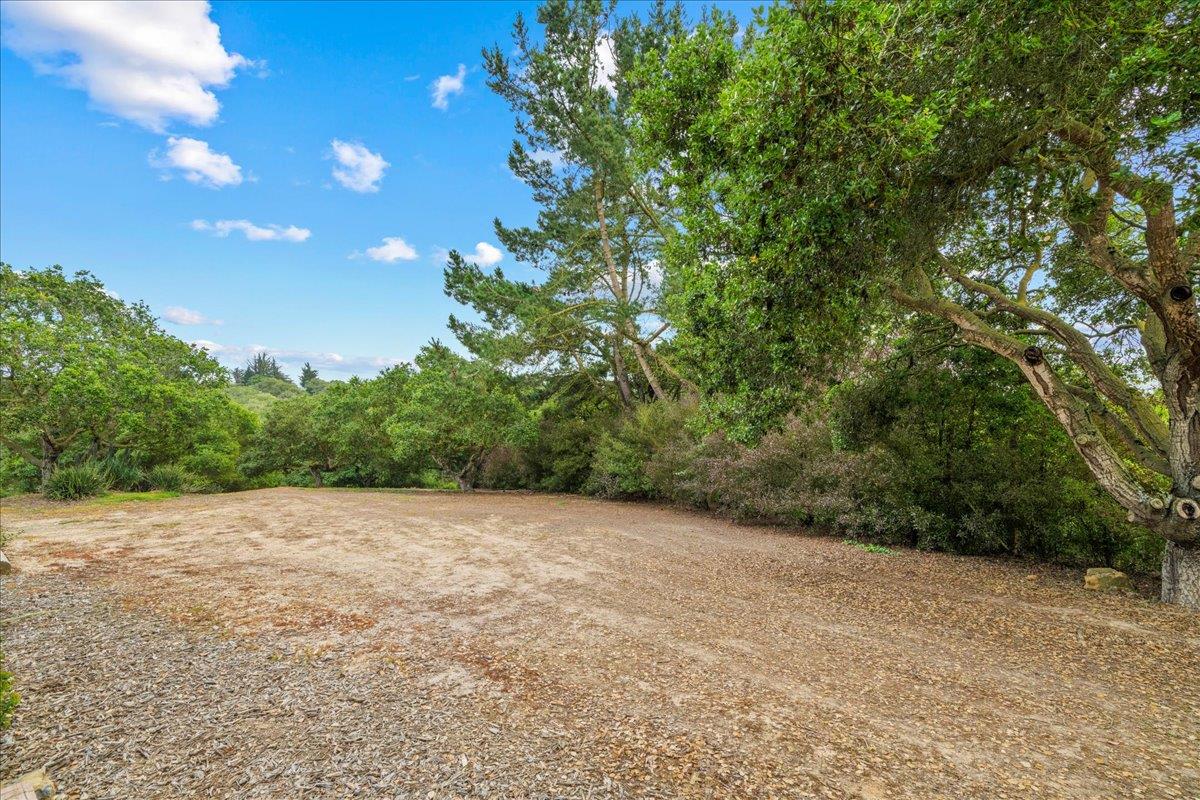 6980 Timeview Way Prunedale, CA 93907 - Photo 38 of 47 a view of a field with trees in the background