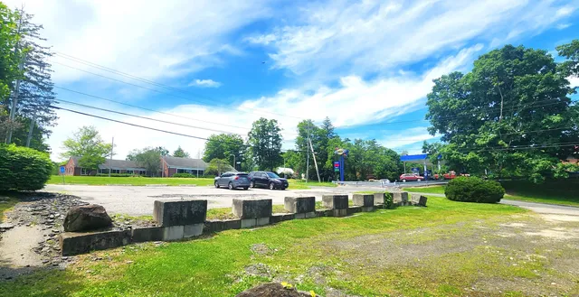a view of a house with garden and a yard