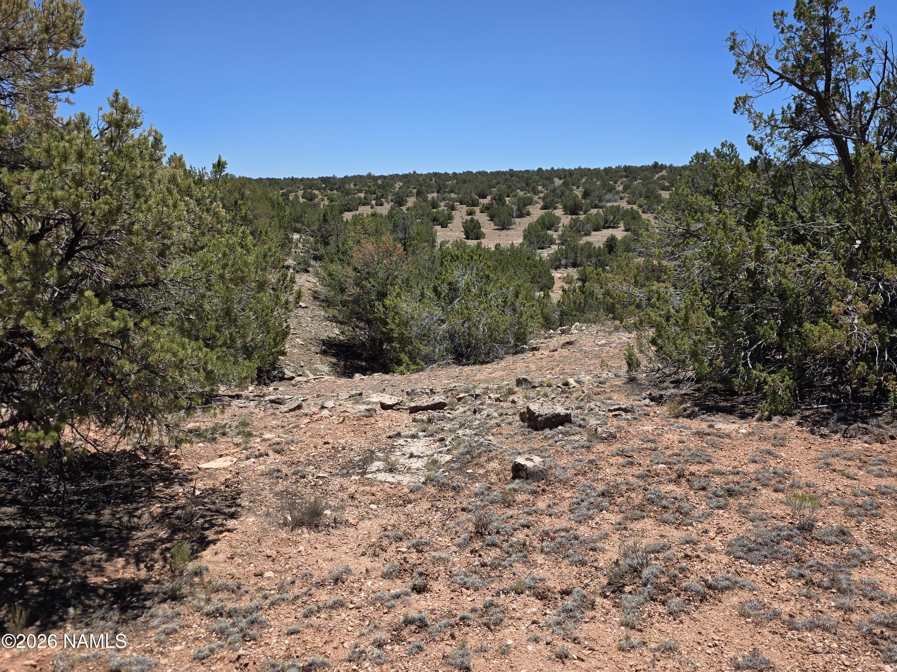9966 Northstar Road Williams, AZ 86046 - Photo 9 of 37 1000065015