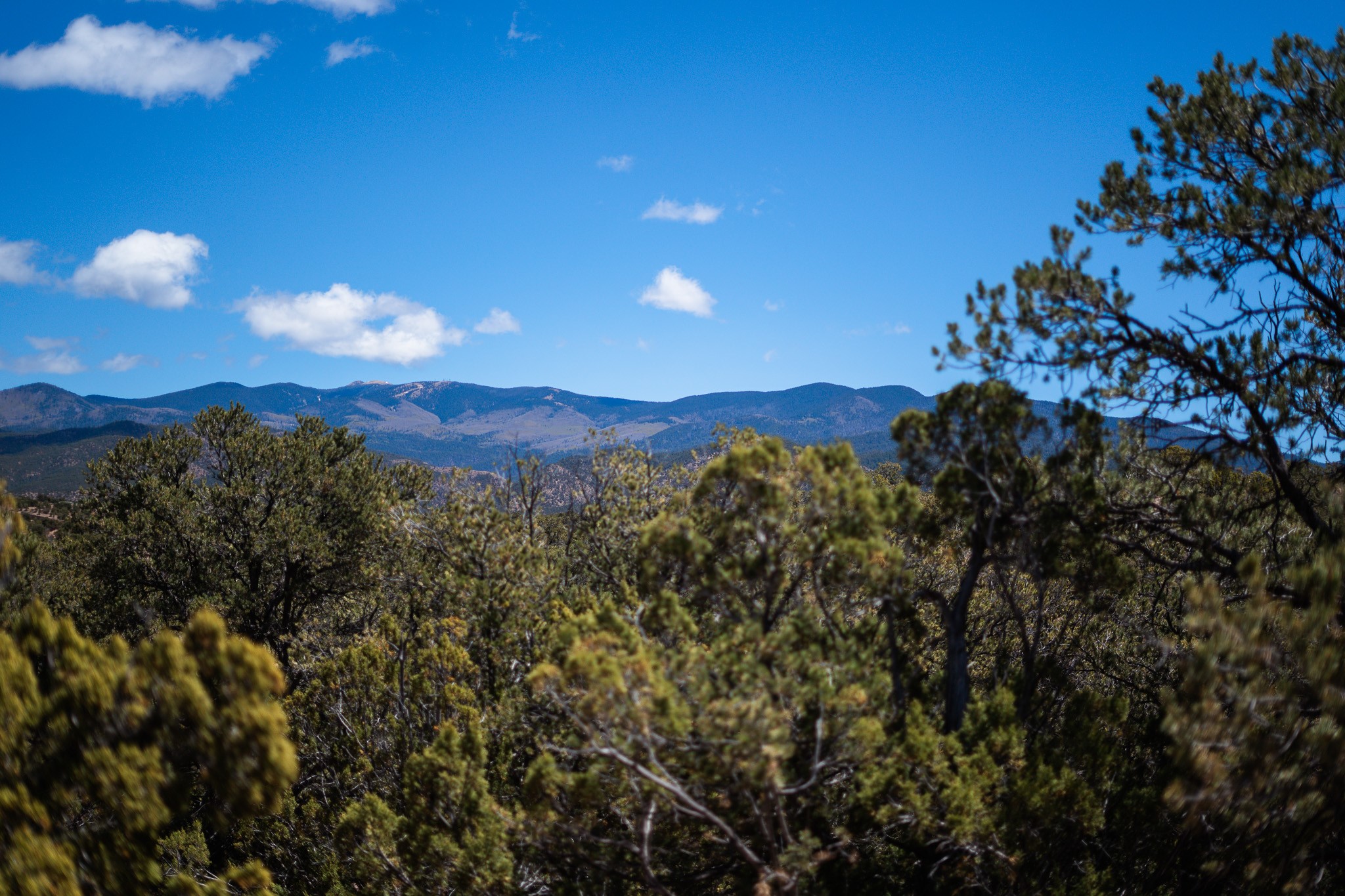 67-acres Red Ridge Santa Fe, NM 87501 - Photo 4 of 40 South Lot