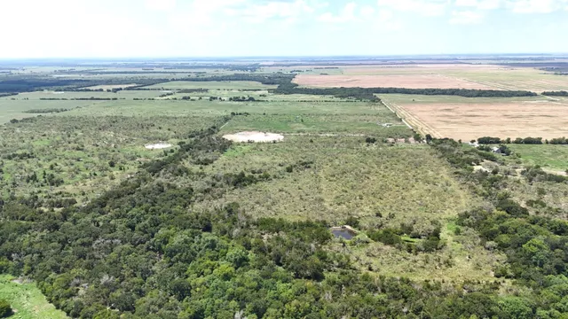 an aerial view of houses covered in trees