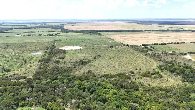 a view of a lake from a yard